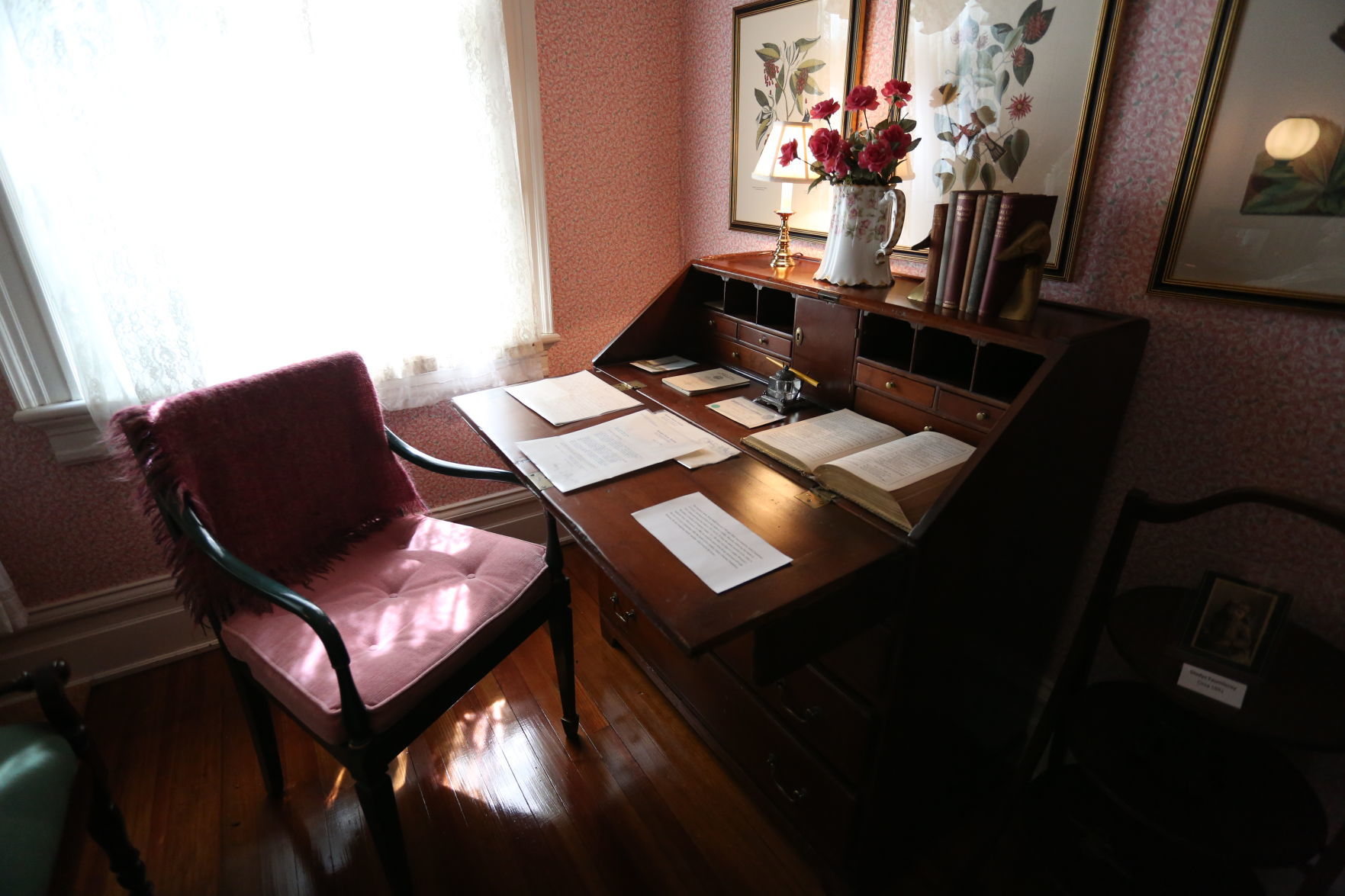 202005xx_lyn_news_avoca33.JPG